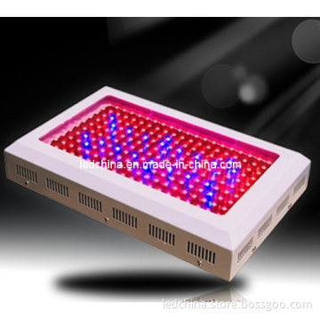 300W LED Plant Grow Light with CE/RoHS
